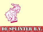 De Splinter